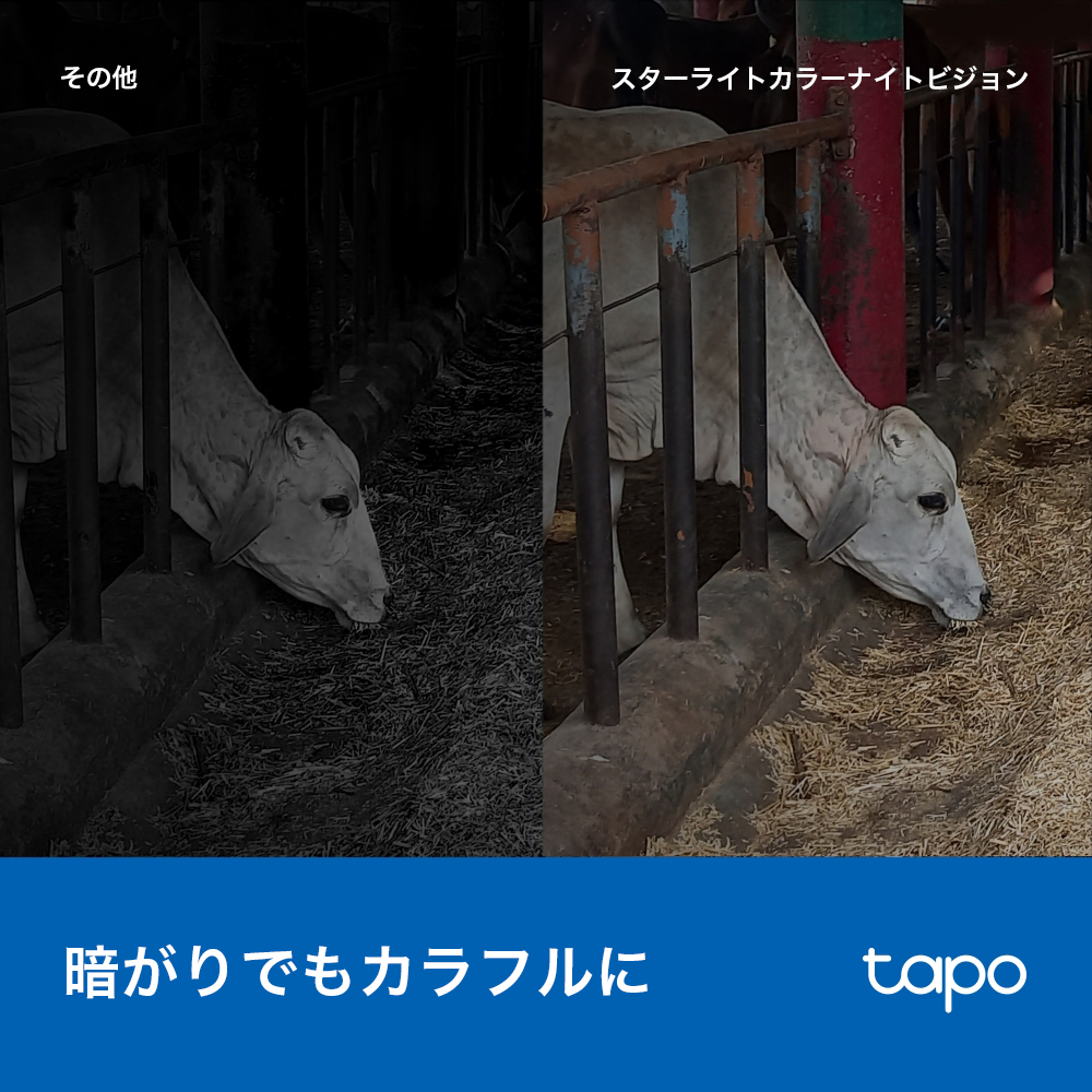 Tapo 屋外防犯カメラ 2K QHD Tapo C320WS