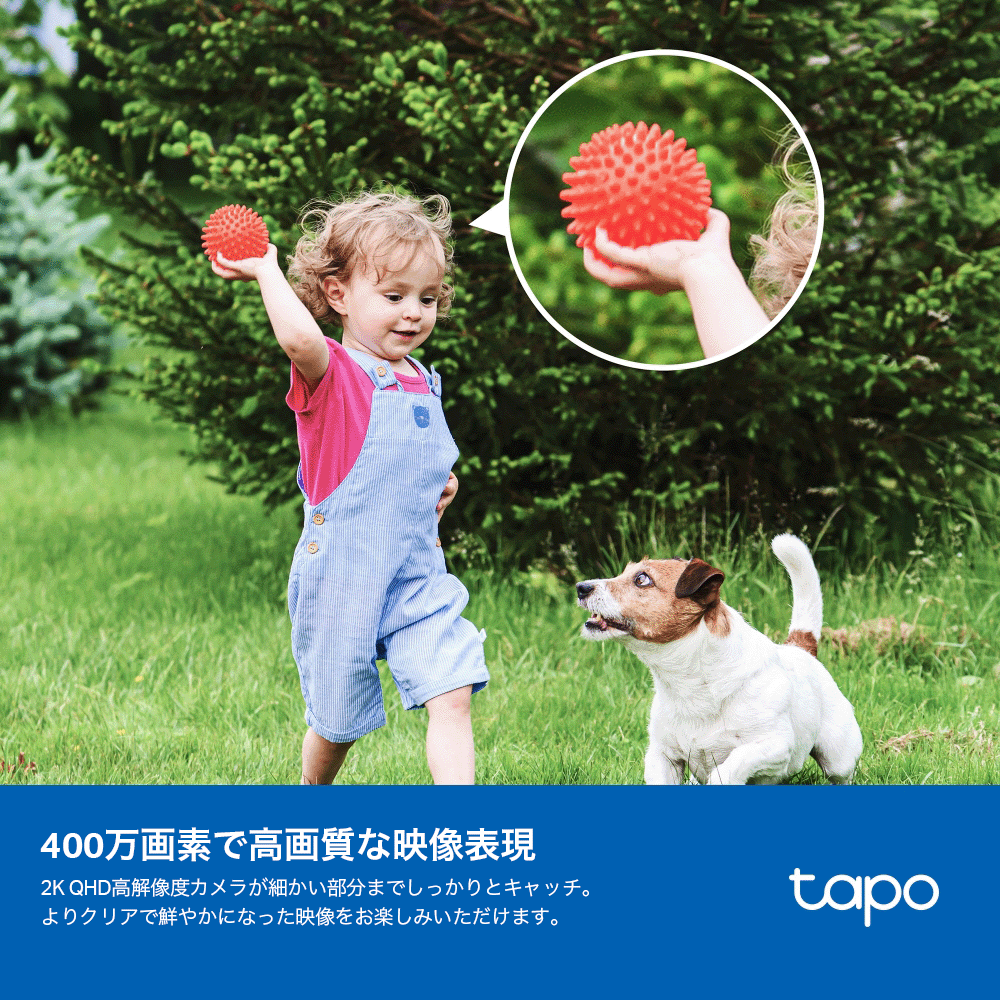 Tapo ソーラー屋外用防犯カメラセット 2K QHD 4MP Tapo C425 KIT