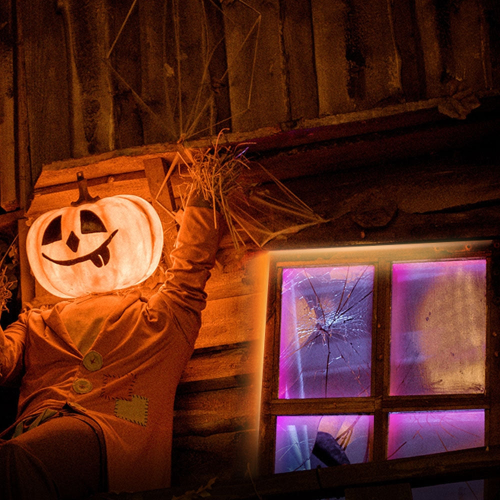 Tapo グラデーション対応スマートWi-Fiテープライト L920-5