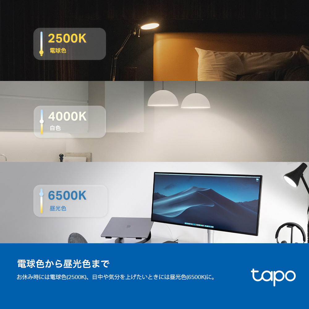 Tapo マルチカラー対応 スマートLEDランプ L535E