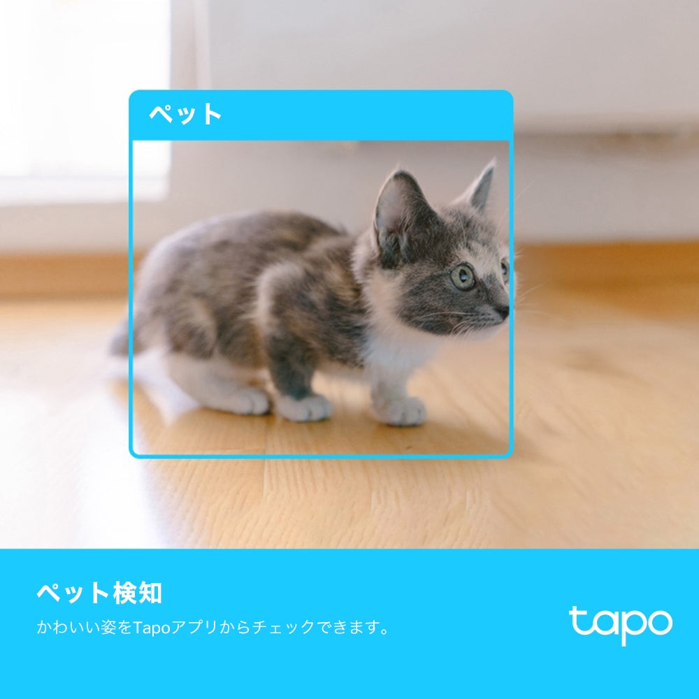 Tapo 屋内見守りカメラ 2K QHD ドーム型 AI検知 Tapo C225